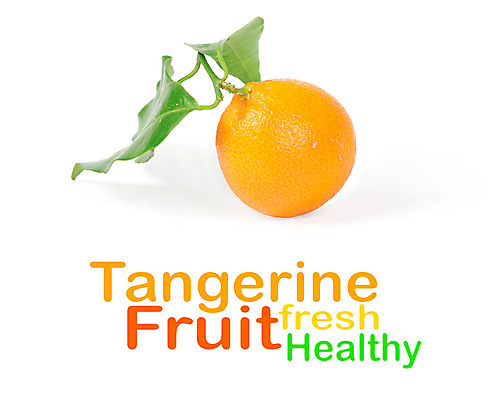 포토 JPG 해외이미지 음식 백그라운드 잎 다이어트 오렌지 과일 자연 귤 건강 사람없음 초록색 여름 빛 반사 노란색 주스 봄 흰색 신선 싱글 상쾌 고립 해외202004 해외포토 식물 계절 감정 음료 컬러 생태계 파일형식 이미지허브