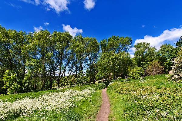 포토 JPG 해외이미지 나무 식물 계절 공원 유럽 도로 길 여행 백그라운드 잎 자국 자연 휴가 새로움 풍경 사람없음 야외 목재 초록색 여름 햇빛 태양 평화 정원 맑음 화목 침묵 봄 산책 가을 신선 숲 오솔길 내추럴 방법 선로 해외202004 해외포토 자연요소 공공시설 나라 컬러 컨셉 재료 교통시설 날씨 휴식 소리 생태계 파일형식 이미지허브