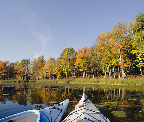 포토 JPG 해외이미지 나무 계절 공원 호수 잎 오렌지 휴식 사람없음 야외 노란색 가을 숲 카누 카약 노젓기 잔물결 해외202004 해외포토 식물 공공시설 물결 컬러 컨셉 과일 모션 수상스포츠 파일형식 이미지허브