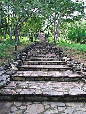 포토 JPG 해외이미지 나무 식물 공원 아시아 종교 길 건축양식 사다리 자연 산 동양인 사람없음 건물 계단 정원 골동품 보행로 씻기 숲 오솔길 언덕 상승 단계 오르막 내추럴 방법 옛날 해외202004 해외포토 건축물 공공시설 건축 나라 컨셉 인종 청결 도구 생태계 파일형식 이미지허브