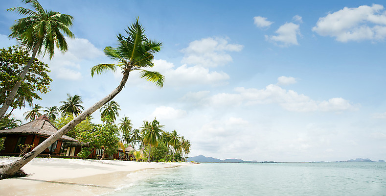 포토 JPG 해외이미지 식물 모래 바다 섬 여행 잎 태국 자연 휴가 휴식 주택 손바닥 사람없음 건물 태양 수영 침묵 기쁨 꿈 만 휴게실 선탠 오두막 크루즈 빌라 시골집 휴양지 방갈로 몰디브 파라다이스 해외202004 해외포토 자연요소 건축물 손 감정 아시아 컨셉 배_교통 숙소 소리 장소 수상스포츠 생태계 파일형식 이미지허브