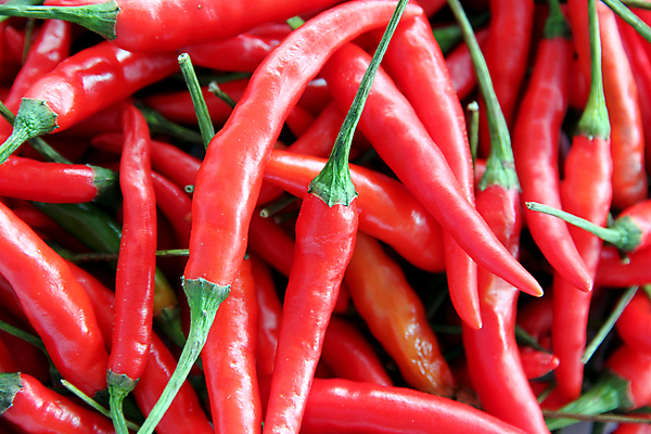 포토 JPG 해외이미지 음식 채소 고추 파프리카 요리 사람없음 빨간색 초록색 쌓기 신선 뜨거움 양념 맛 혼합 다발 향신료 묘사 유기농 매움 향료 후추 칠레 살사댄스 해외202004 해외포토 웰빙 컬러 컨셉 모션 춤 남아메리카 향기 냄새 향미료 파일형식 이미지허브