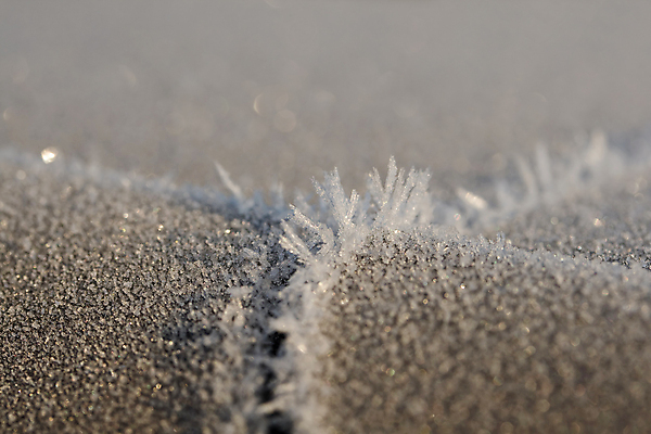포토 JPG 해외이미지 계절 겨울 자동차 지붕 날씨 잉글랜드 사람없음 반짝임 얼음 추위 백발 흰색 12월 서리 온도 해외202004 해외포토 자연요소 헤어스타일 육상교통 컬러 모션 영국 날짜 파일형식 이미지허브