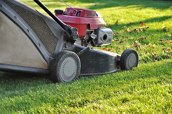 포토 JPG 해외이미지 식물 직업 공원 밭 자연 노동자 잔디 취미 사람없음 야외 빨간색 초록색 정원 기계 장비 성장 가을 도구 공구 업무 칼날 자르기 원예 엔진 모터 유지 돌봄 땅바닥 원예사 커터 해외202004 해외포토 계절 공공시설 컬러 농업 모션 바닥 작업 생태계 파일형식 이미지허브