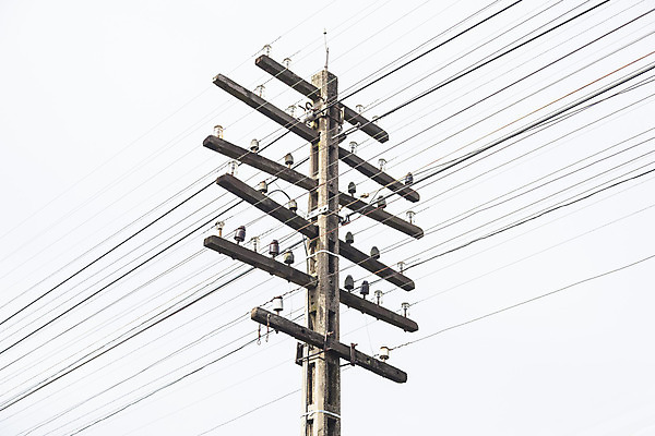 포토 JPG 해외이미지 산업 선 백그라운드 통신 하늘 사람없음 목재 파란색 빛 스마트폰 에너지 정보 네트워크 연결 전화기 철사 부름 봉 철탑 소통 옛날 전압 공급 해외202004 해외포토 나무 컬러 컨셉 재료 모션 핸드폰 스마트기기 탑 파일형식 이미지허브