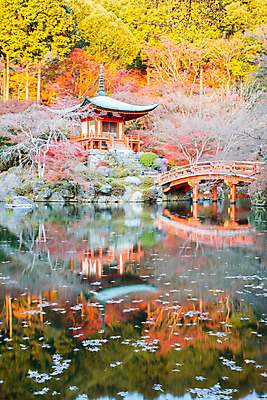 포토 JPG 해외이미지 아시아 종교 문화 선 불교 건축양식 미술 동양인 사람없음 건물 빨간색 탑 정원 일본 중국 일몰 가을 사찰 야간 저녁 동쪽 교토 사당 해외202004 해외포토 자연요소 건축물 계절 건축 나라 컬러 종교건축 문화예술 인종 노을 방향 파일형식 이미지허브