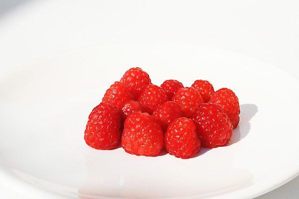 포토 JPG 해외이미지 열매 음식 다이어트 과일 디저트 건강 요리 씨앗 사람없음 빨간색 농작물 환경 정원 수확 신선 달콤 맛 작음 순수 생태계 생물학 산딸기 향 내추럴 고립 바이오 생태학 채식주의자 비건 해외202004 해외포토 식물 교육 컬러 컨셉 농업 크기 채식 파일형식 이미지허브