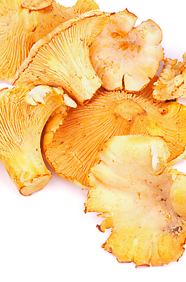 포토 JPG 해외이미지 음식 채소 오렌지 재료 사람없음 흰색 시골 신선 황금 큼 유기농 날것 생강 흙더미 해외202004 해외포토 웰빙 컬러 과일 흙 크기 파일형식 더미 이미지허브