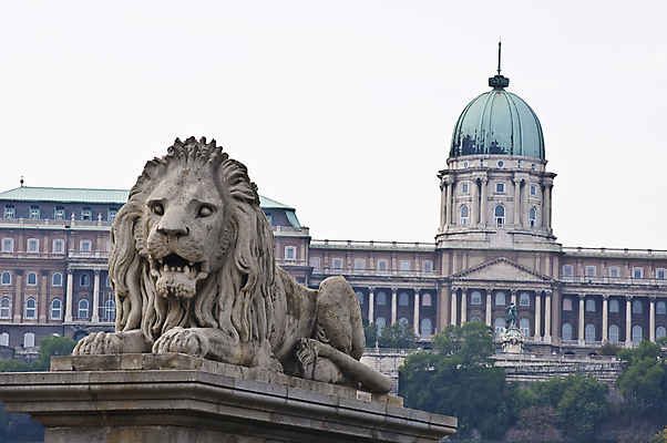 포토 JPG 해외이미지 동물 외관 유럽 문화 조각 여행 건축양식 아침 휴가 사람없음 건물 가로 강 햇빛 조각상 여행객 회색 기둥 도시 해충 연결 건축가 강가 사자 장면 커뮤니티 동쪽 헝가리 다뉴브강 부다페스트 해외202004 해외포토 주간 직업 건축물 건축 나라 컬러 포유류 사람 태양 조형물 벌레 방향 동유럽 파일형식 이미지허브