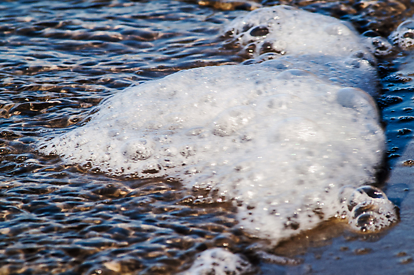 포토 JPG 해외이미지 계절 모래 파도 바다 여행 백그라운드 자연 조류 휴가 휴식 따뜻함 해변 사람없음 야외 물 여름 빛 햇빛 태양 반사 노란색 우주 일출 맑음 침묵 일몰 거품 젖음 흰색 투명 서핑 황금 질감 내추럴 파라다이스 해외202004 해외포토 자연요소 동물 컬러 컨셉 날씨 노을 소리 수상스포츠 생태계 파일형식 이미지허브