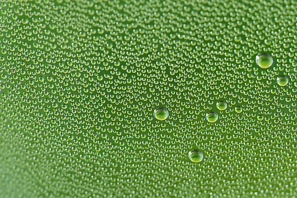 포토 JPG 해외이미지 디자인 음료 백그라운드 유리 벽지 추상 사람없음 그래픽 초록색 물 빛 노란색 거품 젖음 물방울 신선 원형 떨어짐 시원함 질감 공상 내추럴 해외202004 해외포토 자연요소 도형 컬러 컨셉 무늬 재질 파일형식 이미지허브