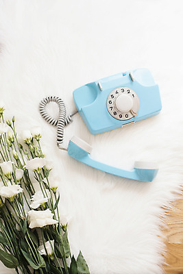 포토 JPG 해외이미지 라이프스타일 꽃 꽃다발 결혼 백그라운드 꽃무늬 텍스트 휴가 바닥 주택 털 선물 사랑 사람없음 내부 목재 장식 초록색 파란색 스마트폰 태양 유행 카펫 안개 벚꽃 흰색 시골 신선 생일 고급 다발 복고 노려봄 내추럴 블로거 스타일 힙스터 방식 세련 해외202004 해외포토 자연요소 나무 식물 패션 기념일 감정 컬러 컨셉 무늬 재료 날씨 표정 이벤트 건물 생활 핸드폰 스마트기기 파일형식 이미지허브