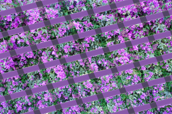 포토 JPG 해외이미지 모양 디자인 꽃 백그라운드 잎 패턴 자연 추상 미술 사람없음 그래픽 장식 직물 질감 엽서 공상 해외202004 해외포토 식물 무늬 문화예술 편지 생태계 파일형식 이미지허브