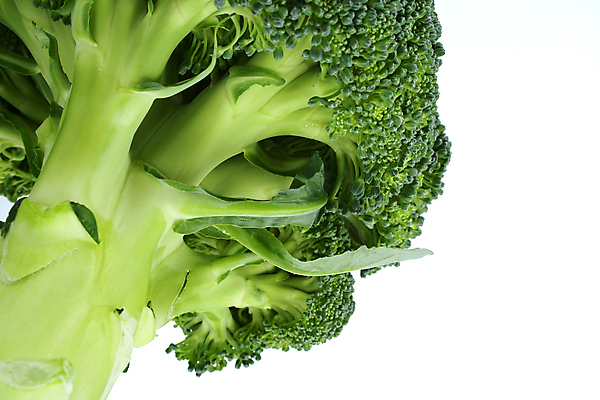 포토 JPG 해외이미지 음식 줄기 잎 다이어트 채소 건강 요리 사람없음 초록색 컬러풀 요식업 저녁식사 흰색 신선 최고 고명 몸무게 브로콜리 날씬함 유기농 날것 칼로리 섬유 성분 내추럴 점심식사 고립 식욕 적자 해외202004 해외포토 식물 웰빙 산업 컬러 식사 직물 몸매 파일형식 이미지허브