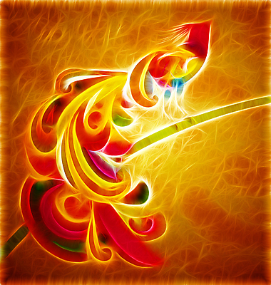 포토 JPG 해외이미지 식물 동물 디자인 종이 백그라운드 꽃무늬 패턴 날개 일러스트 자연 조류 표면 추상 휴가 프레임 미술 사람없음 그래픽 장식 갈색 노란색 쪽지 봄 공백 수확 골동품 덮개 나뭇가지 점 화려 인도인 질감 복고 캔버스 먼지 페이지 그런지 세피아 양피지 옛날 노화 스타일 해외202004 해외포토 외국인 나무 계절 꽃 컬러 컨셉 무늬 농업 문화예술 촬영기법 동양인 뚜껑 생태계 파일형식 이미지허브