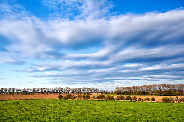 포토 JPG 해외이미지 나무 구름 백그라운드 밭 자연 하늘 풍경 사람없음 야외 초록색 파란색 햇빛 농경지 맑음 봄 흰색 시골 네덜란드 줄서기 평야 수평선 목가 해외202004 해외포토 자연요소 식물 계절 유럽 컬러 농업 모션 날씨 태양 농장 생태계 파일형식 이미지허브