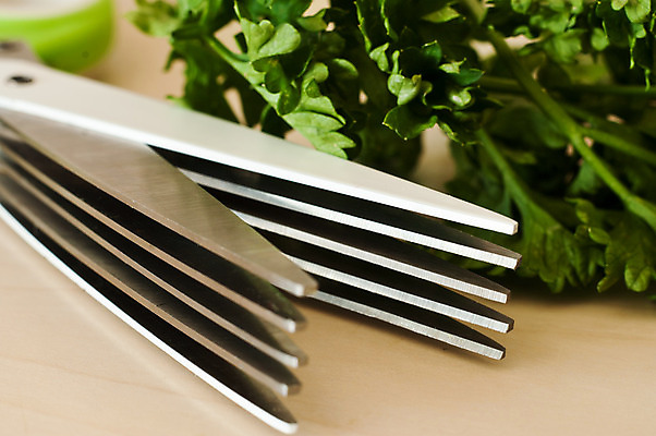 포토 JPG 해외이미지 백인 접시 여자 꽃 백그라운드 잎 가정 자연 파슬리 건강 요리 성인 사람없음 목재 초록색 주방 정원 재활용 흰색 도구 신선 플랫 캔 자르기 허브 타일 유기농 조리대 통조림 내추럴 고립 딜 백리향 해외202004 해외포토 서양인 나무 식물 식기 웰빙 컬러 채소 재료 모션 사람 친환경 생태계 파일형식 이미지허브