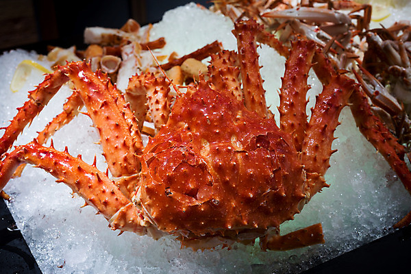 포토 JPG 해외이미지 음식 바다 백그라운드 다이어트 오렌지 재료 조개 건강 어류 요리 사람없음 빨간색 식당 얼음 식사 저녁식사 추위 게 신선 화려 우아함 캔 달콤 왕 먹기 해산물 알래스카 점심식사 뷔페 해외202004 해외포토 자연요소 컬러 컨셉 과일 모션 어패류 갑각류 상점 미국 수중동물 맛 파일형식 이미지허브