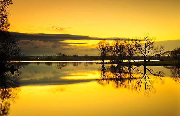 포토 JPG 해외이미지 나무 구름 남자 실루엣 호수 여행 오렌지 자연 하늘 그림자 풍경 사람없음 야외 목재 물 빛 강 반사 노란색 일출 검은색 일몰 폭포 숲 러시아 러시아인 옛날 해외202004 해외포토 자연요소 서양인 식물 유럽 컬러 과일 재료 촬영기법 사람 노을 생태계 파일형식 이미지허브