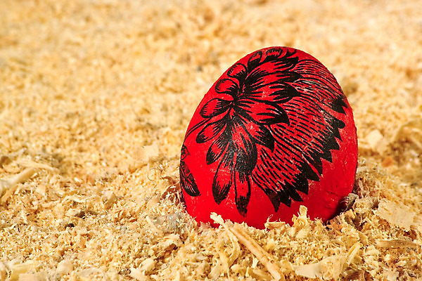 포토 JPG 해외이미지 전통 손 계절 종교 음식 백그라운드 휴가 부활절 기념 선물 사람없음 장식 빨간색 컬러풀 계란 페인트 축하 그리기 4월 먹기 심볼 고립 톱밥 특별함 해외202004 해외포토 기념일 컬러 컨셉 모션 신체부위 알 날짜 가루 파일형식 이미지허브