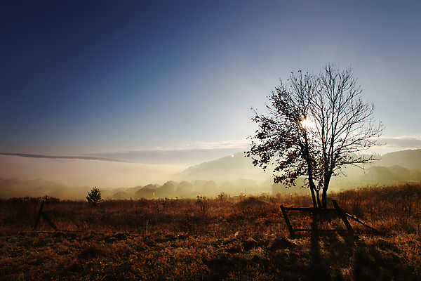 포토 JPG 해외이미지 구름 백그라운드 밭 자연 하늘 아침 따뜻함 풍경 사람없음 여름 빛 울타리 태양 농장 일출 안개 가을 시골 저녁 향수 수평선 해외202004 해외포토 주간 자연요소 계절 농업 날씨 담장 노을 화장품 야간 생태계 파일형식 이미지허브