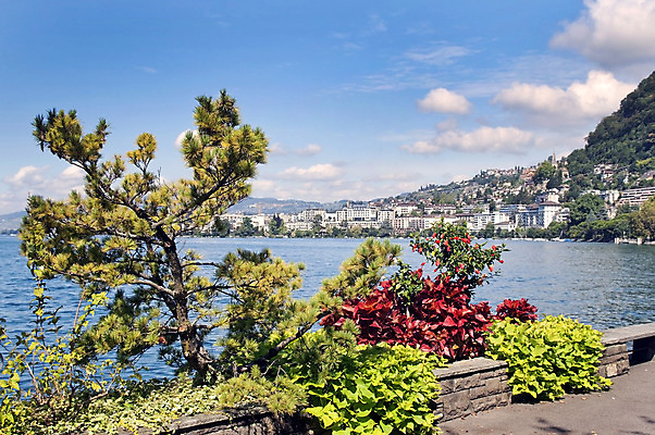 포토 JPG 해외이미지 유럽 호수 요트 자연 하늘 아침 산 항해 풍경 사람없음 물 파란색 반사 환경 스위스 그림 알프스 타운 울퉁불퉁 잔물결 절정 해외202004 해외포토 주간 자연요소 나라 물결 컬러 배_교통 도시 생태계 파일형식 이미지허브