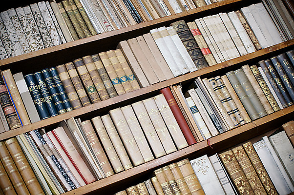 포토 JPG 해외이미지 교육 종이 과학 백그라운드 컨셉 학교 책장 선반 실내 사람없음 책 가로 스터디 독서 골동품 그룹 역사 플랫 닫기 도서관 척추 묘사 오브젝트 문서 많음 해외202004 해외포토 가구 모션 뼈 내부 학습 파일형식 이미지허브