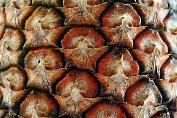 포토 JPG 해외이미지 음식 줄기 백그라운드 다이어트 과일 열대 건강 사람없음 주스 흰색 대접 소나무 달콤 맛 정상 파인애플 하와이 향기 고립 해외202004 해외포토 나무 식물 음료 컬러 컨셉 미국 열대과일 냄새 파일형식 이미지허브