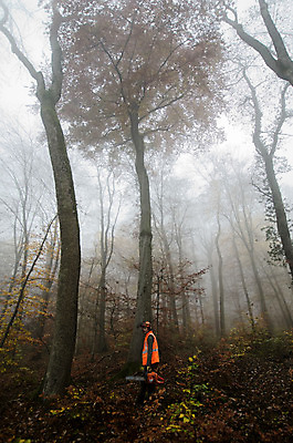 포토 JPG 해외이미지 나무 직업 남자 장갑 노동자 안전 사람 성인 사람없음 목재 힘 장비 도구 공구 업무 작업 숲 헬멧 위험 자르기 나무껍질 잡동사니 벌목 수목 전기톱 해외202004 해외포토 식물 잡화 컨셉 재료 모션 껍질 보호장비 톱 파일형식 이미지허브