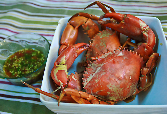 포토 JPG 해외이미지 음식 요리 사람없음 식당 식사 저녁식사 게 해산물 향신료 삶기 해외202004 해외포토 갑각류 상점 향미료 파일형식 이미지허브