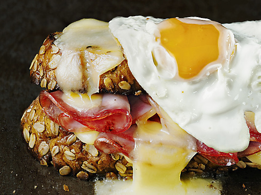 포토 JPG 해외이미지 전통 음식 빵 치즈 샌드위치 요리 사람없음 가로 식당 계란 카페 시골 그릴 굽기 만취 햄 프랑스어 해외202004 해외포토 문자 주방용품 유제품 육류 상점 알 구이 술취함 파일형식 이미지허브