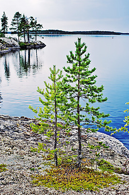 포토 JPG 해외이미지 나무 구름 지구 호수 파도 잎 자연 하늘 날씨 휴식 건조 그림자 풍경 사람없음 목재 세로 초록색 여름 파란색 강 태양 반사 갈색 침묵 회색 소나무 숲 허브 순수 즐거움 북쪽 생태학 해외202004 해외포토 자연요소 식물 계절 교육 감정 바다 컬러 컨셉 재료 소리 방향 생태계 파일형식 이미지허브