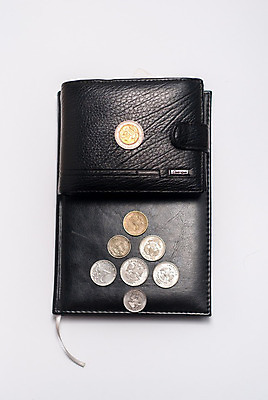 포토 JPG 해외이미지 백그라운드 돈 사람없음 다이어리 동전 검은색 신용카드 지갑 가죽 흰배경 고립 러시아인 많음 해외202004 해외포토 서양인 컬러 컨셉 금융 사무용품 흰색 재산 파일형식 이미지허브