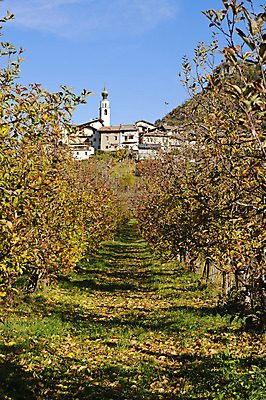 포토 JPG 해외이미지 나무 계절 길 잎 밭 자국 안내 주택 사람없음 초록색 파란색 컬러풀 갈색 노란색 마을 탑 가을 시골 오솔길 선로 선두 해외202004 해외포토 식물 건축물 컬러 농업 건물 파일형식 이미지허브