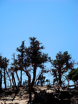 포토 JPG 해외이미지 유럽 모래 파도 바다 섬 여행 하늘색 백그라운드 자연 하늘 휴가 산 파노라마 풍경 사람없음 물 여름 파란색 놀람 조약돌 흰색 투명 지중해 그리스 그리스인 내추럴 삼나무 우수 터키석 파라다이스 수평선 해외202004 해외포토 자연요소 서양인 나무 계절 감정 나라 컬러 촬영기법 표정 돌_바위 보석 절기 생태계 파일형식 이미지허브