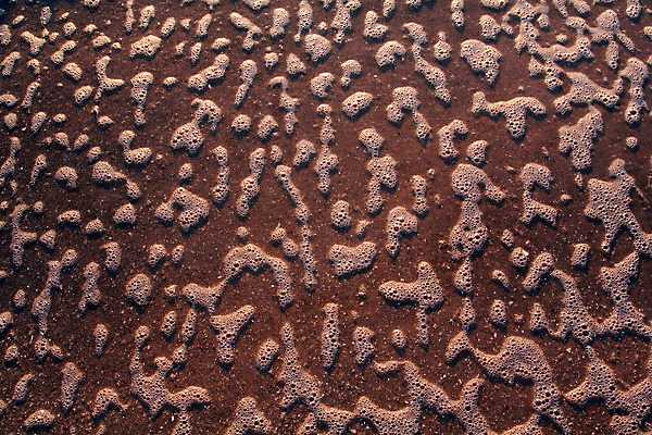 포토 JPG 해외이미지 계절 모래 파도 바다 여행 백그라운드 자연 휴가 휴식 풍경 사람없음 야외 물 여름 파란색 평화 거품 흰색 메시지 휴양지 질감 해외202004 해외포토 자연요소 컬러 컨셉 장소 생태계 파일형식 이미지허브