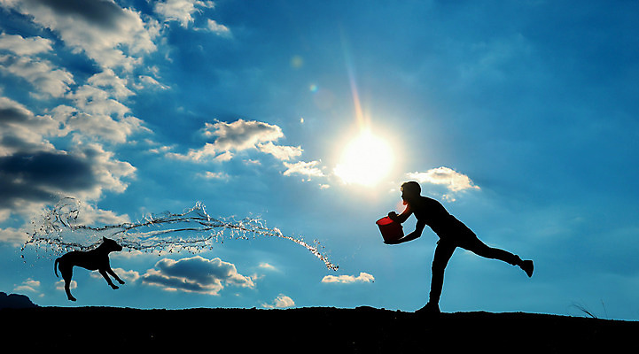 포토 JPG 해외이미지 실루엣 사람 사람없음 물 태양 일몰 게임 개 위험 시원함 무서움 심각 특별함 해외202004 해외포토 자연요소 감정 컨셉 포유류 놀이 촬영기법 노을 파일형식 이미지허브