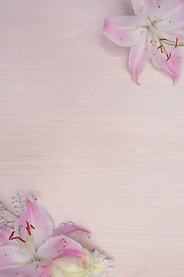 포토 JPG 해외이미지 꽃 분홍색 결혼 백그라운드 꽃무늬 자연 탁자 프레임 발렌타인데이 사람없음 목재 장식 우주 수확 벚꽃 시골 신용카드 정상 복고 카피스페이스 해외202004 해외포토 나무 식물 컬러 가구 무늬 농업 재료 데이이벤트 이벤트 금융 공백 생태계 파일형식 이미지허브