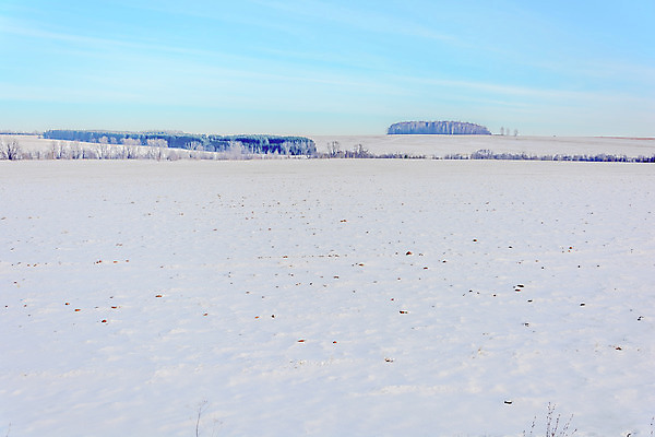 포토 JPG 해외이미지 나무 식물 구름 디자인 계절 공원 여행 백그라운드 겨울 밭 자연 하늘 날씨 산 풍경 사람없음 야외 목재 초록색 파란색 빛 갈색 환경 냉동 얼음 검은색 추위 흰색 나뭇가지 소나무 숲 언덕 서리 장면 상록수 침엽수 층 전나무 원뿔 내추럴 제설기 가문비나무 수평선 해외202004 해외포토 자연요소 도형 공공시설 컬러 농업 재료 생태계 제설 파일형식 이미지허브