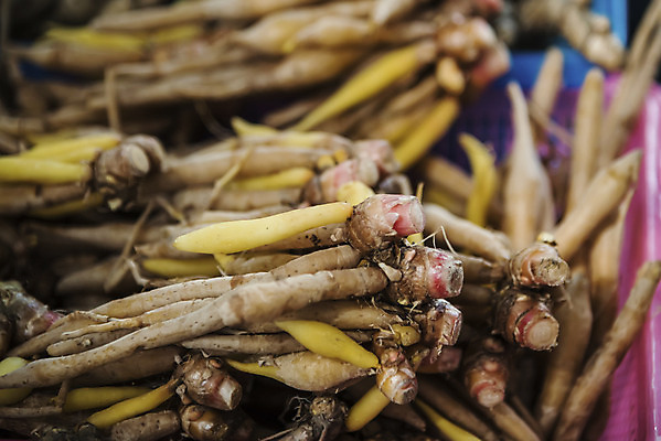 포토 JPG 해외이미지 식물 전통 음식 태국 자연 사람없음 약 갈색 노란색 신선 반지 허브 질감 뿌리 해외202004 해외포토 아시아 컬러 장신구 의학 생태계 파일형식 이미지허브
