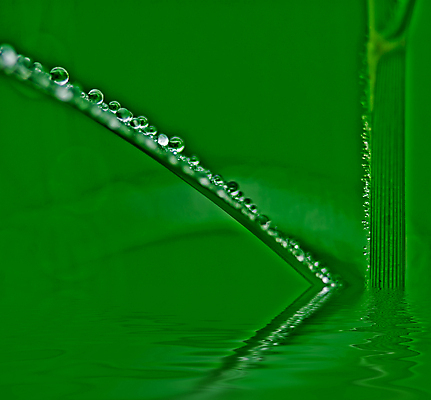 포토 JPG 해외이미지 공원 백그라운드 밭 자연 사람없음 초록색 물 환경 정원 해외202004 해외포토 자연요소 공공시설 컬러 농업 생태계 파일형식 이미지허브