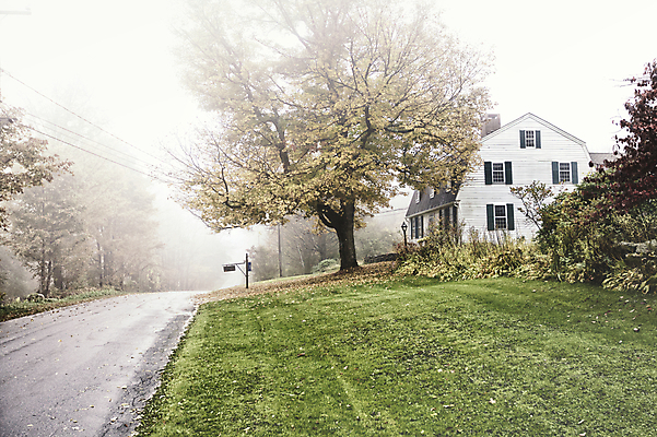 포토 JPG 해외이미지 나무 도로 잎 새로움 주택 흑백 사람없음 야외 빨간색 초록색 노란색 운전 안개 가을 시골 해외202004 해외포토 식물 계절 길 컬러 컨셉 교통시설 모션 날씨 촬영기법 건물 파일형식 이미지허브