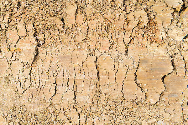 포토 JPG 해외이미지 식물 전통 지구 백그라운드 패턴 자연 표면 건조 사람없음 빨간색 갈색 흙 사막 거친 땅 질감 먼지 점토 지역 진흙 내추럴 그런지 땅바닥 해외202004 해외포토 컬러 무늬 바닥 생태계 파일형식 이미지허브