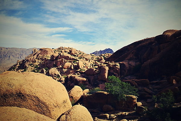 포토 JPG 해외이미지 모래 여행 아프리카 자연 산 건조 따뜻함 손바닥 풍경 경사 사람없음 야외 세로 골짜기 계곡 하이킹 사막 바위 뜨거움 정상 큼 언덕 산등성이 먼지 모로코 사하라 깊이 아랍어 오아시스 절정 지도책 해외202004 해외포토 손 나라 레저 책 돌_바위 크기 생태계 파일형식 이미지허브