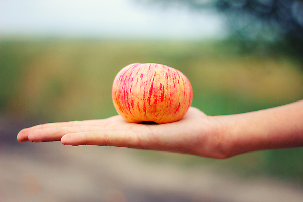 포토 JPG 해외이미지 나무 식물 구름 계절 공원 도로 호수 파도 백그라운드 자연 하늘 날씨 거리 풍경 사람없음 야외 목재 초록색 물 파란색 강 글로벌 햇빛 반사 갈색 환경 봄 손상 젖음 가을 나뭇가지 시골 긴급 숲 위험 홍수 장면 자작나무 내추럴 재앙 해외202004 해외포토 자연요소 공공시설 길 바다 컬러 컨셉 재료 교통시설 태양 자연재해 생태계 파일형식 이미지허브