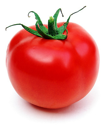 포토 JPG 해외이미지 음식 토마토 과일 재료 건강 사람없음 빨간색 샐러드 흰색 신선 수프 먹기 레시피 내추럴 고립 숙성 해외202004 해외포토 컬러 채소 모션 파일형식 이미지허브