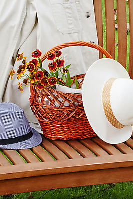 포토 JPG 해외이미지 계절 공원 꽃 꽃다발 가구 잎 벤치 의자 자연 휴식 앉기 잔디 사람없음 야외 목재 초록색 바구니 환경 정원 침묵 봄 재킷 흰색 싱글 내추럴 해외202004 해외포토 나무 식물 공공시설 컬러 생활용품 컨셉 재료 모션 소리 외투 생태계 파일형식 이미지허브