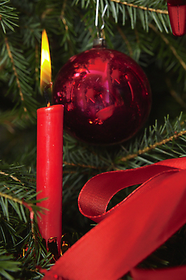 포토 JPG 해외이미지 나무 전통 별 크리스마스장식 크리스마스 장신구 사람없음 장식 빛 숫자 크리스마스트리 광선 전나무 포인세티아 해외202004 해외포토 자연요소 식물 문자 기념일 꽃 파일형식 이미지허브