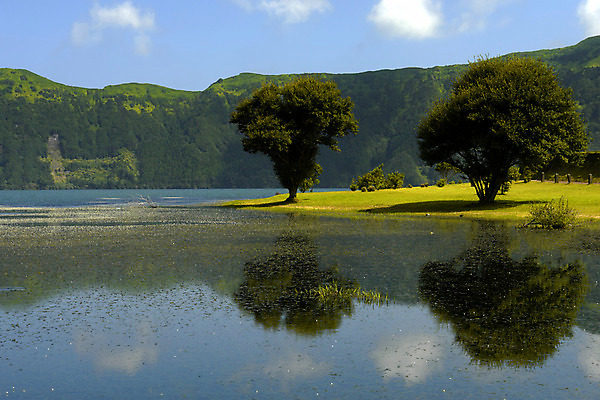 포토 JPG 해외이미지 나무 호수 자연 하늘 산 풍경 사람없음 초록색 물 파란색 반사 평화 거울 포르투갈 천국 생태학 몽환 해외202004 해외포토 자연요소 식물 교육 유럽 컬러 컨셉 생태계 파일형식 이미지허브