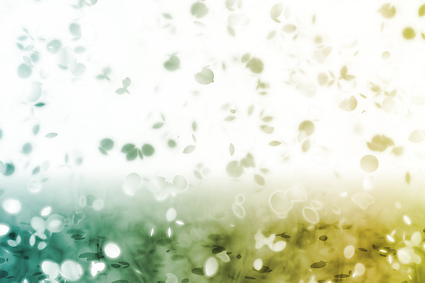 JPG 해외이미지 꽃잎 꽃 백그라운드 일러스트 사람없음 초록색 연두색 그라데이션 카피스페이스 해외202004 해외일러스트 식물 컬러 공백 파일형식 이미지허브